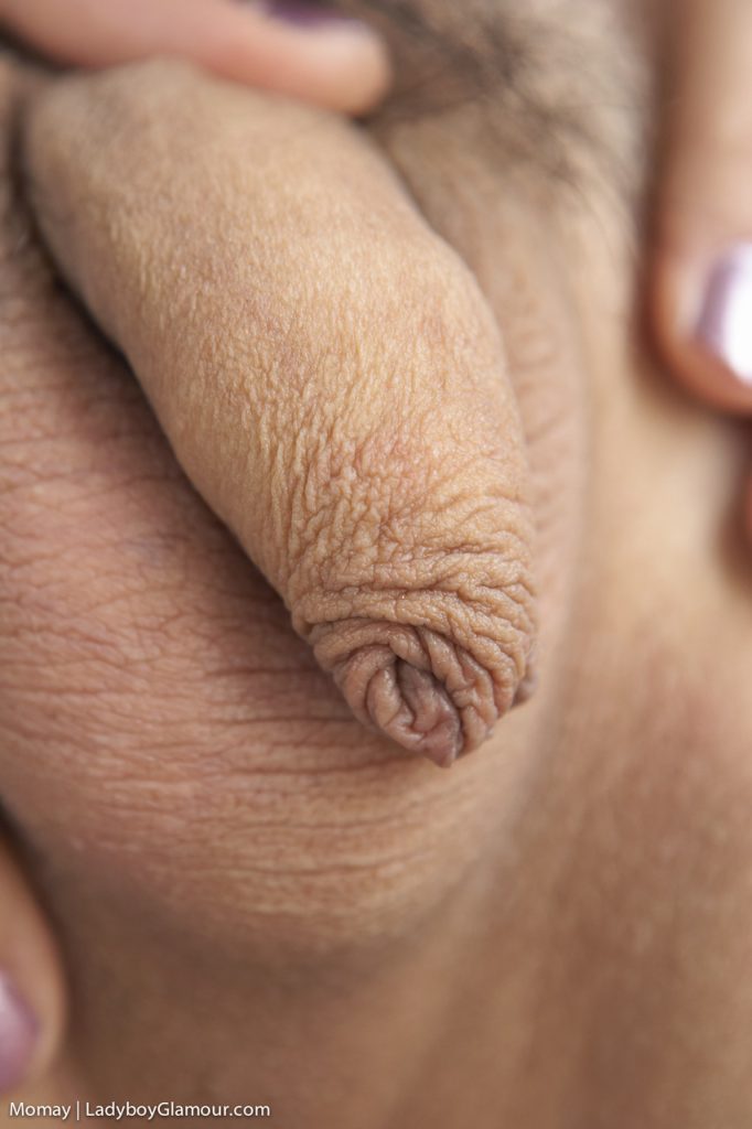 foreskin ladyboy close up